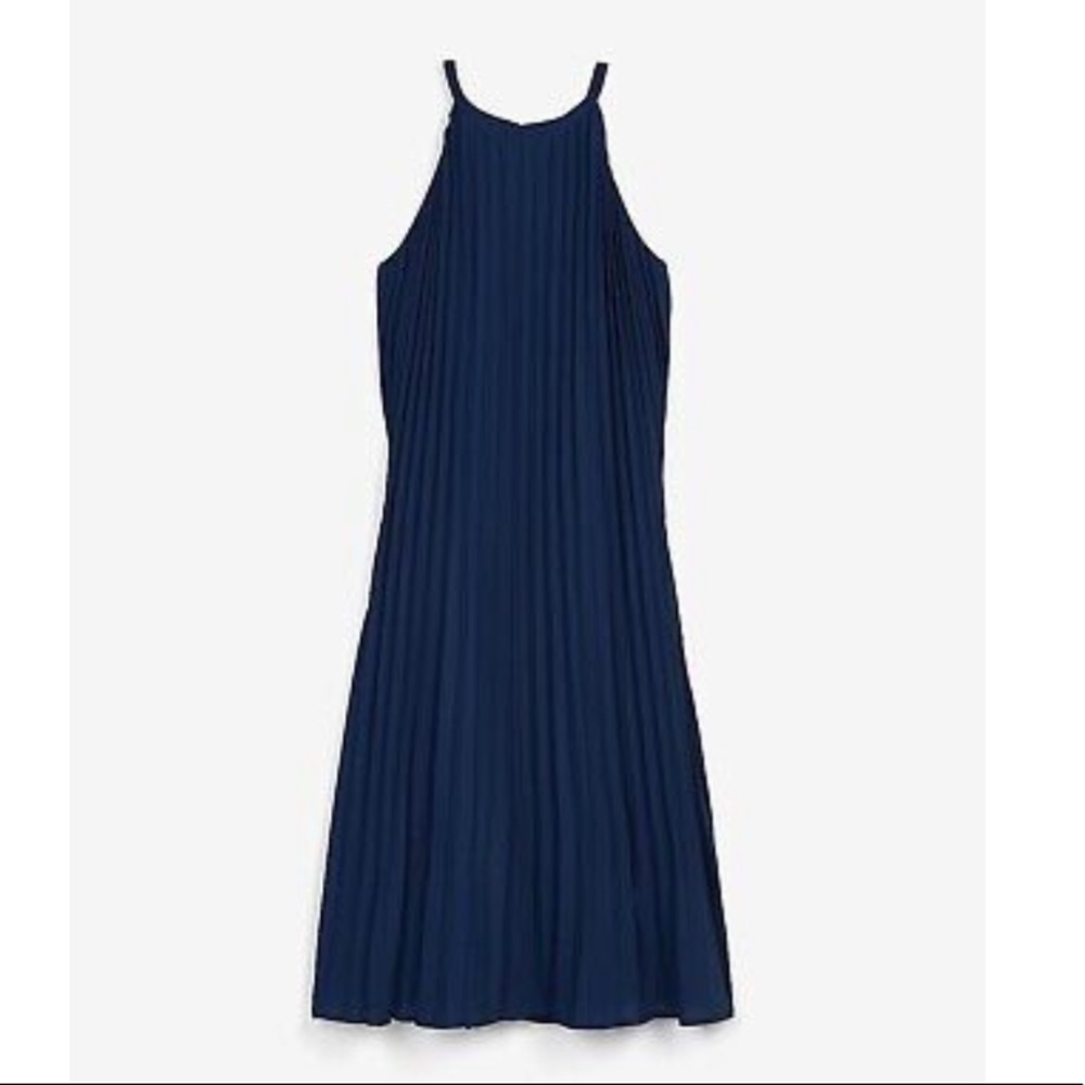 Express pleated dress
